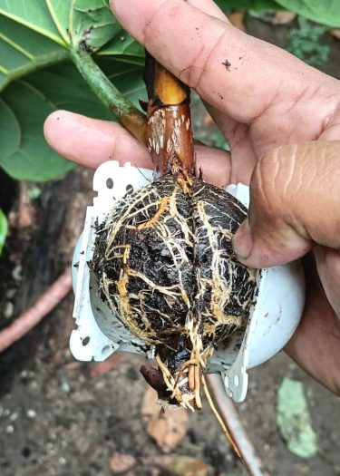 516875491_3192894867526174_691472773999079033_n