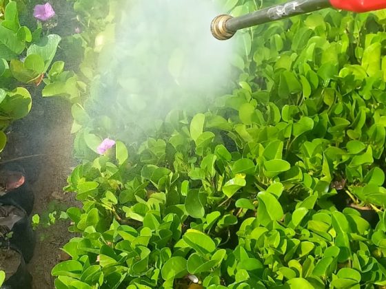 Imagen de WhatsApp 2025-07-22 a las 17.55.39_9e77a852